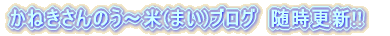 ˂肨񋟁II